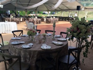 Party Rental Equipment in Raleigh, NC